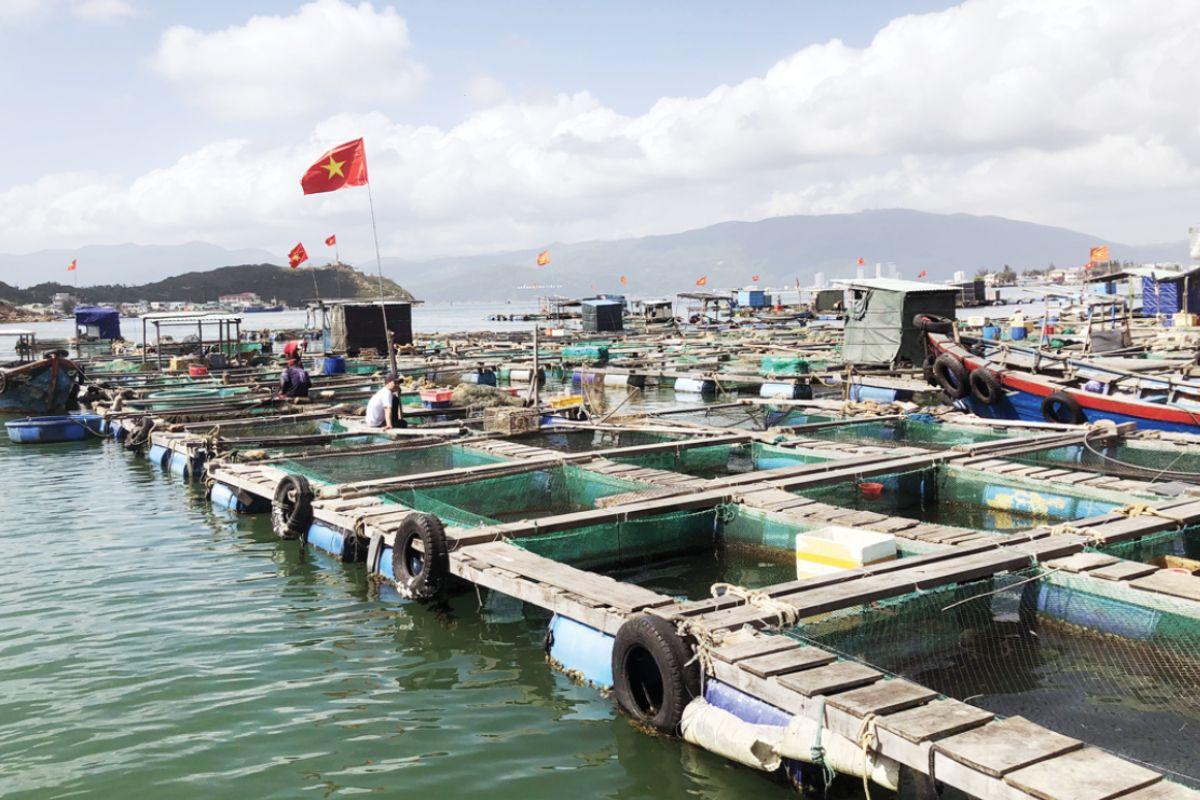 nuoi-long-be-2-1763209795