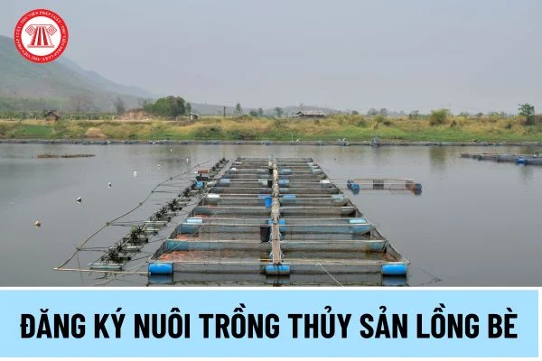 nuoi-trong-thuy-san-long-be